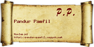 Pandur Pamfil névjegykártya